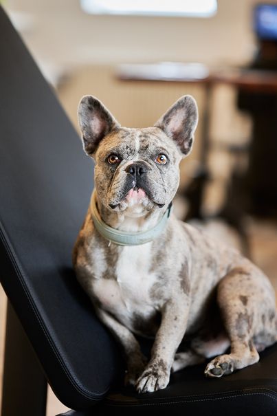 Hugo